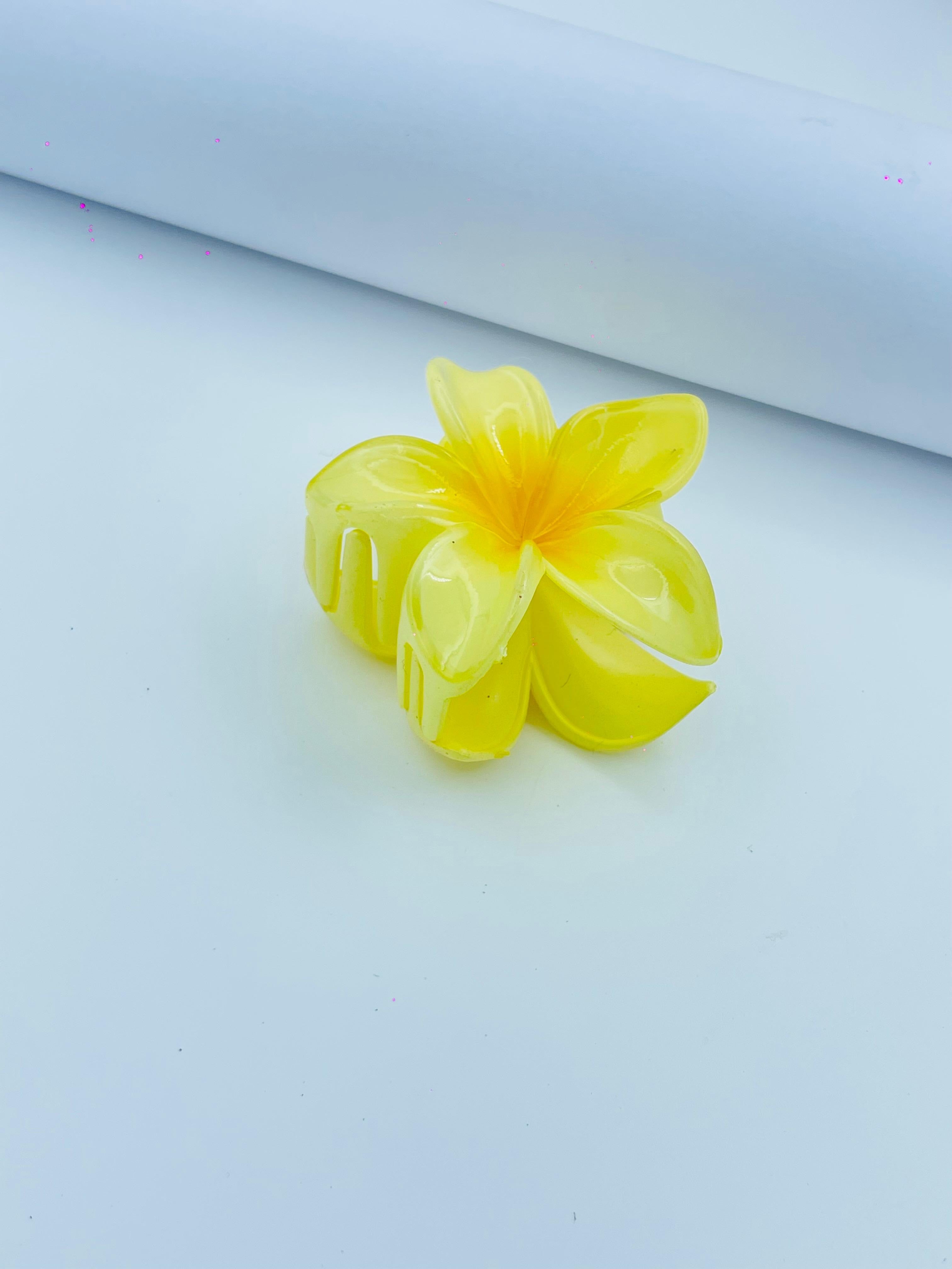 Colorful Plumeria Flower Hair Clips – Set of Vibrant Resin Hair Accessories for Girls & Women